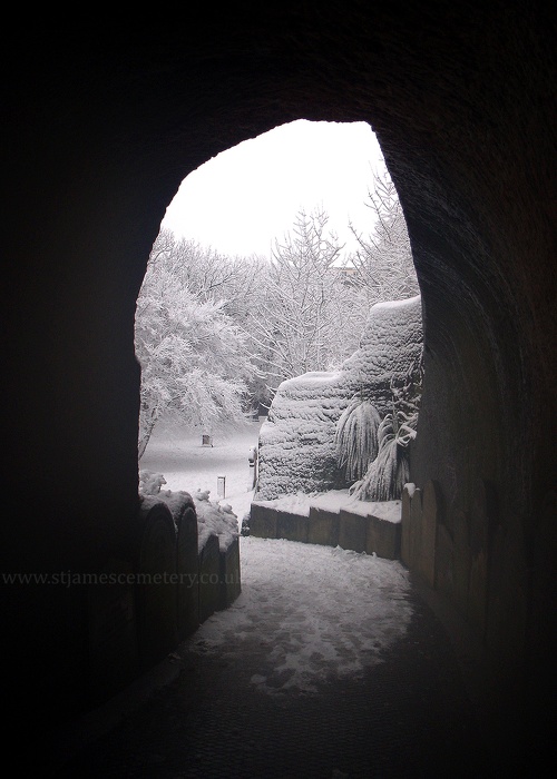 tunnel-january-2010.jpg