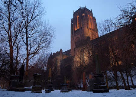 Gardens and Liverpool Cathedral, 2013