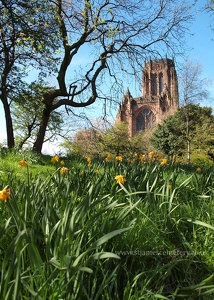 St James' Mount & Liverpool Cathedral, 2013