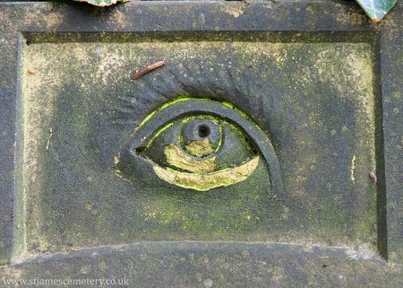 Eye