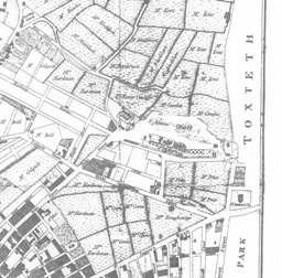Toxteth1785
